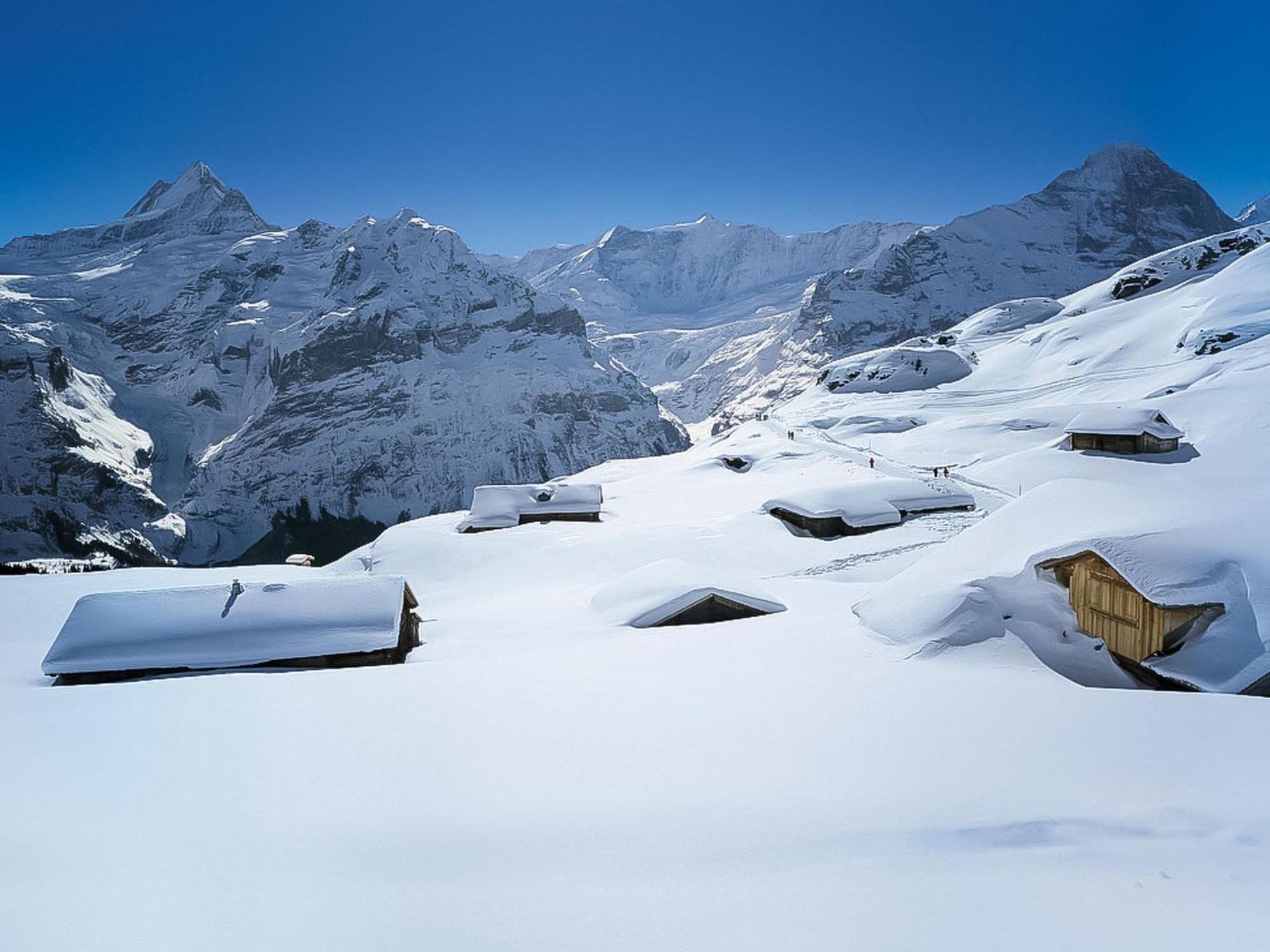 Appartement Pfingstrose By Interhome Grindelwald